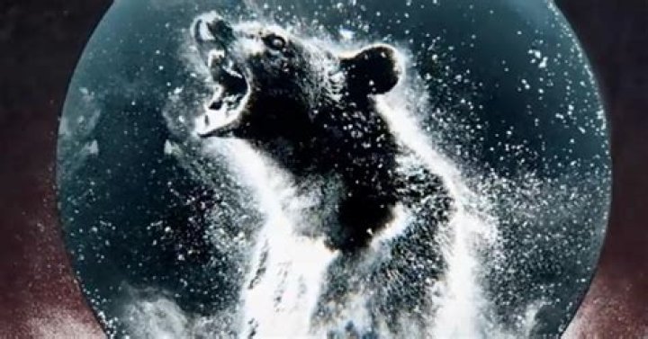 Cocaine Bear Director Elizabeth Banks Reveals How She Landed Star-Studded Cast