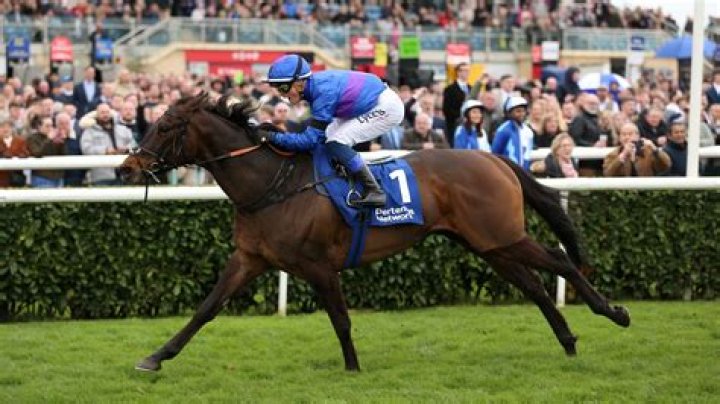 Cocaine scandal jockey Benoit de la Sayette, 18, faces six-month ban from racing after positive test