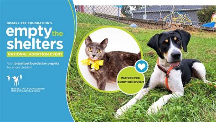 CRISIS CAPACITY: Humane Society of Scott County waives fees for adult animals