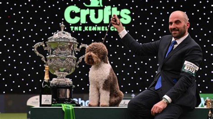 Crufts 2023 results LIVE — Orca the Lagotto Romagnolo wins Best in Show on day 4 as the English Sheepdog comes reserve