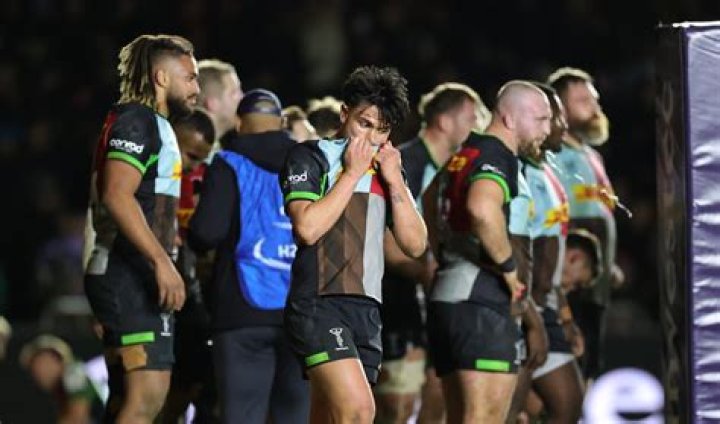 Danny Wilson confident Harlequins can swiftly bounce back from painful defeat to Toulouse