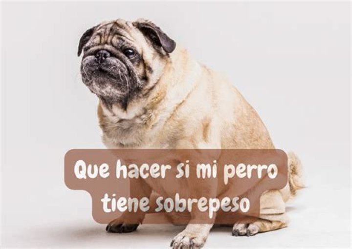 Darlene M. Perro, 63
