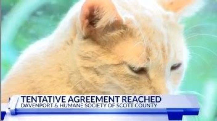 Davenport reaches tentative agreement with Humane Society of Scott County