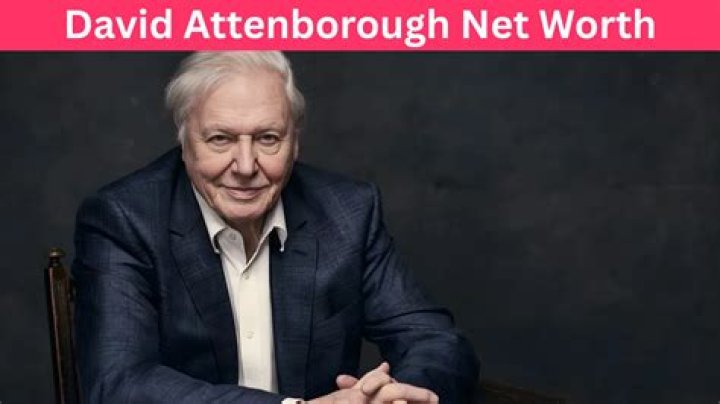 
David Dungan
Net Worth
