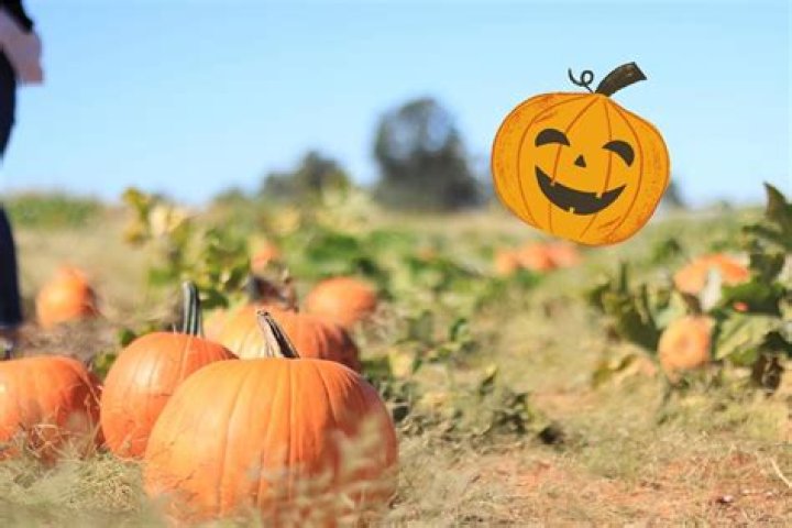 Del Amo Shooting today; Torrance community stands strong after Pumpkin Patch incident
