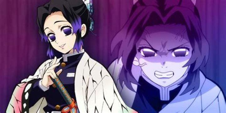 Demon Slayer Cosplay Readies for Shinobu's Season 4 Comeback