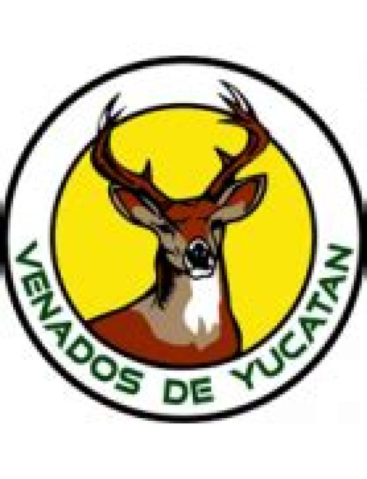Deportiva Venados - Club profile