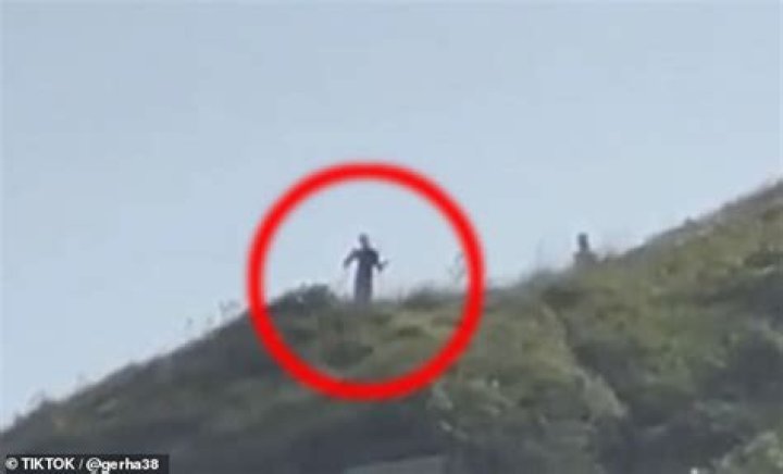 Did people actually see an alien on a Brazilian Island? 10-foot tall humanoid captured on camera