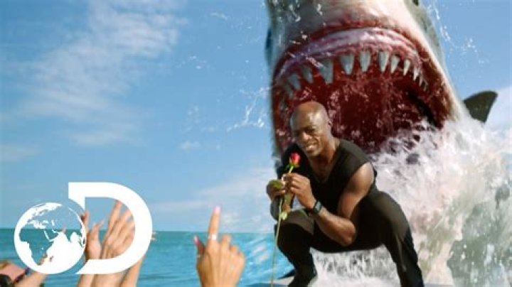 Discovery’s Seal ‘Kiss from a Rose’ Shark Week spot earns coveted News and Doc Emmy