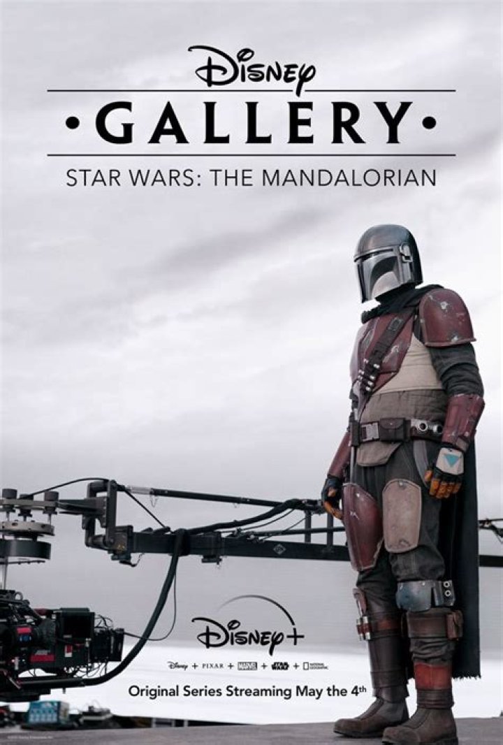 Disney Gallery: Star Wars: The Mandalorian Episode 3 review — Cast
