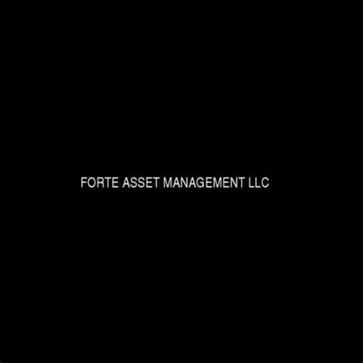 
Dock Street Asset Management Inc 13F annual report
