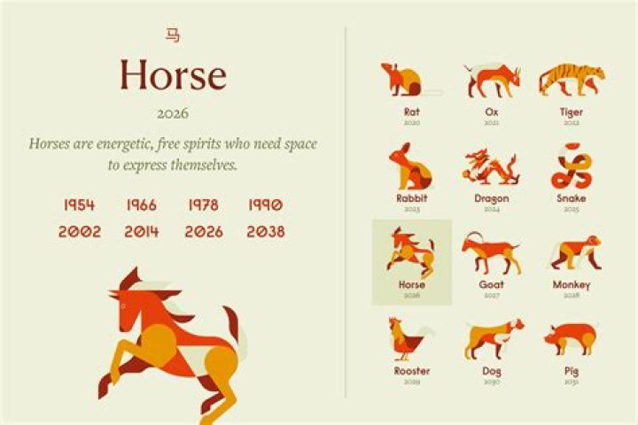 Dog Horoscope 2024: 2024 Year of The Chinese Zodiac Dog Prediction
