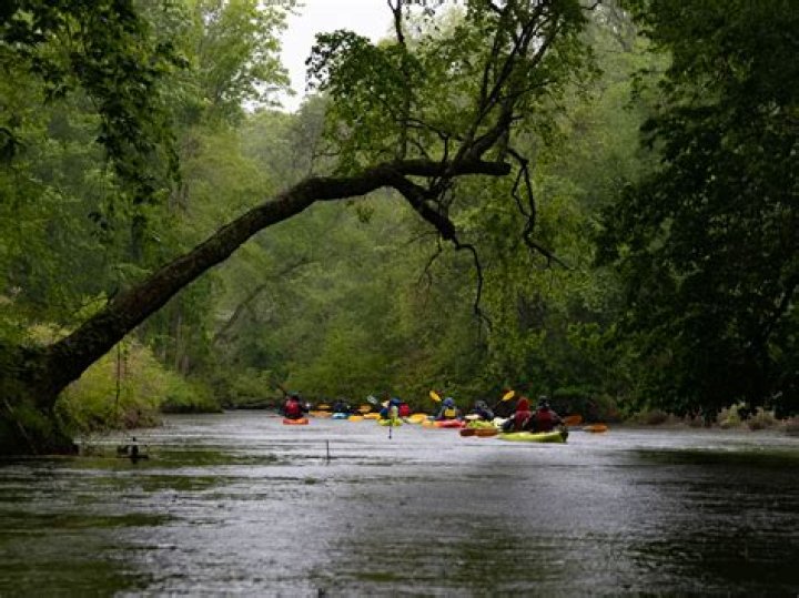 Ernie Sigmon (Boater) Death caused In Choptank River