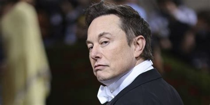 Everything About Nevada Alexander Musk