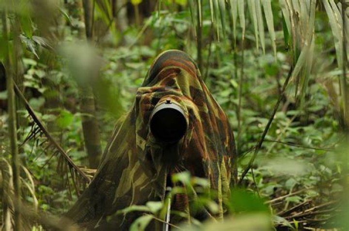 Exclusive: Watch two men try to camouflage themselves in the wilderness on Bushcraft Build-off