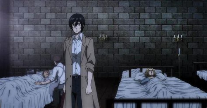 Explaining Mikasa's Controversial Scene with Louise