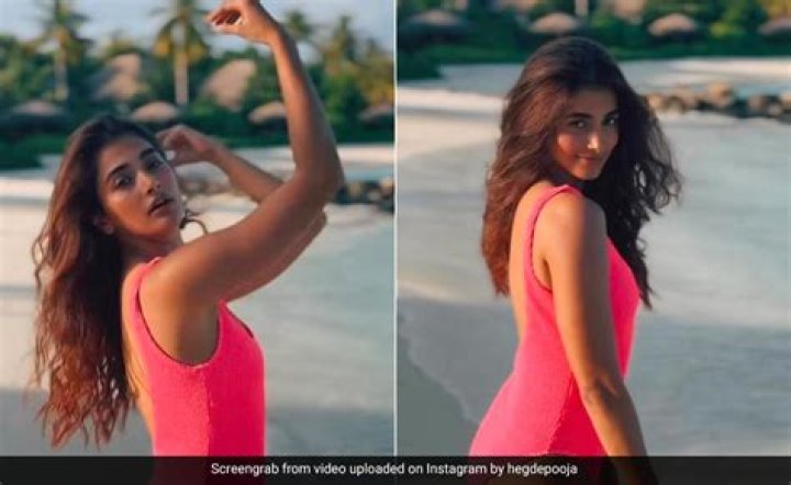Fan asks Pooja Hegde for 'naked' photo, here's what she shared