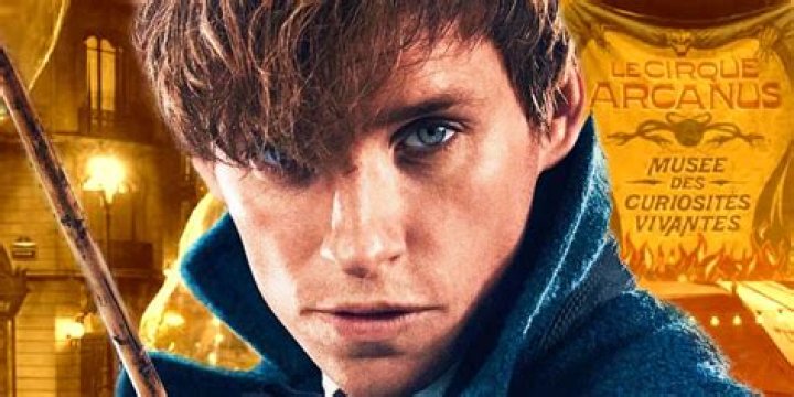 Fantastic Beasts Star Comments on Franchise's Future