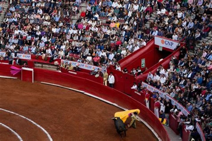Federal court once again suspends bullfights in Mexico City, as activists and supporters lock horns