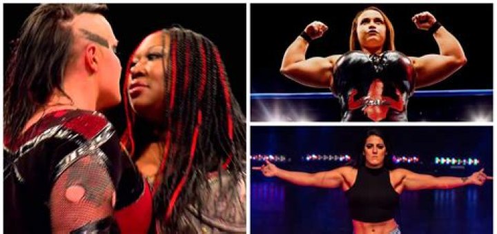 Female wrestler gimmicks you'd like to see.