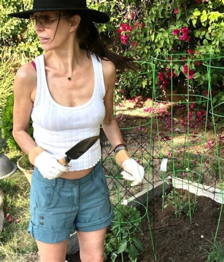 Finola Hughes: Plastic Surgery, Gardening, Bio, Wiki, Age, Career, Husband, Net Worth 2023 and More