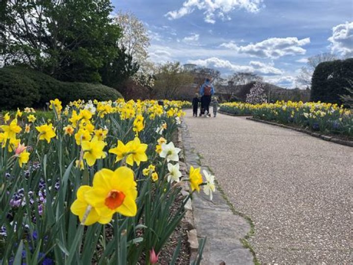 Flowers After 5 - Lewis Ginter Botanical Garden