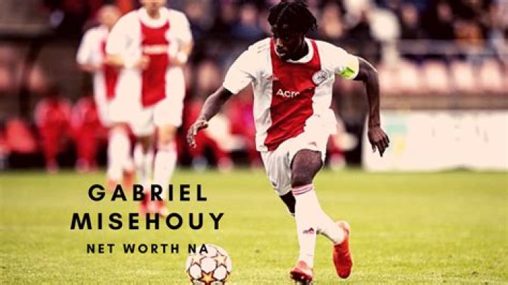 Gabriel Misehouy - National team