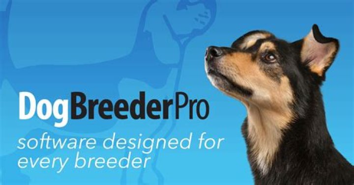 Galva dog breeder responds to recent criticism