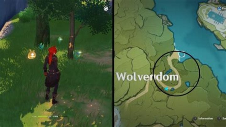 Genshin Impact Photo Event Guide: All Camera Color Item and Creature Locations