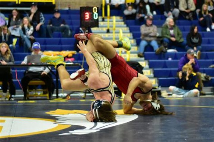 Girls Wrestlers from Galesburg, Erie-Prophetstown, Moline win at Sectionals; Go to State