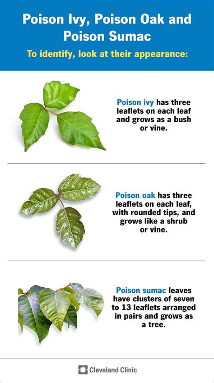Gotham EP Reveals The Real Reason Poison Ivy Was Aged
