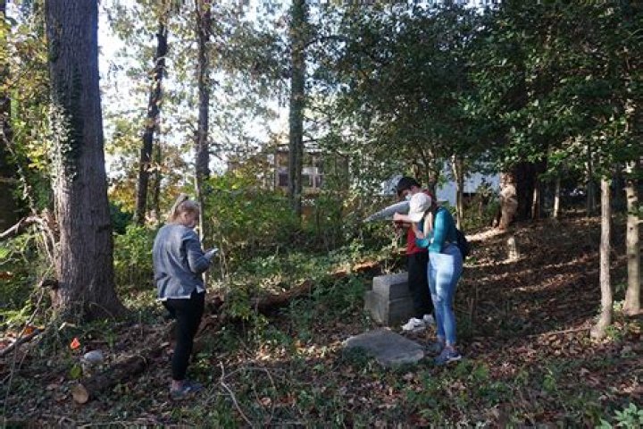 Ham’s Council and Cemetery – UR Archaeology