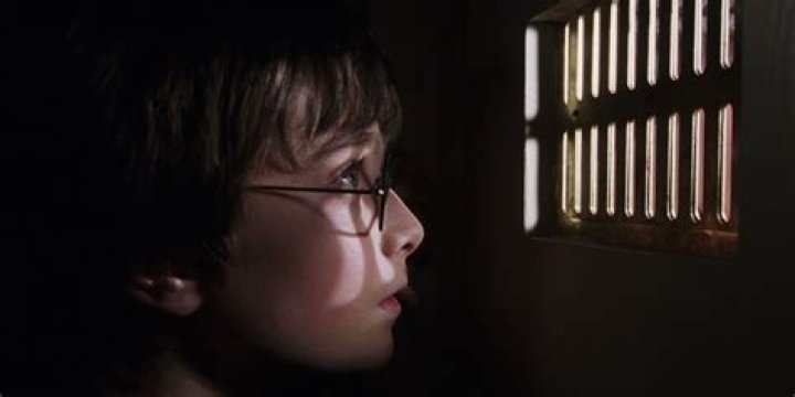 Harry Potter Never Left His Cupboard Under The Stairs, According To Depressing Fan Theory
