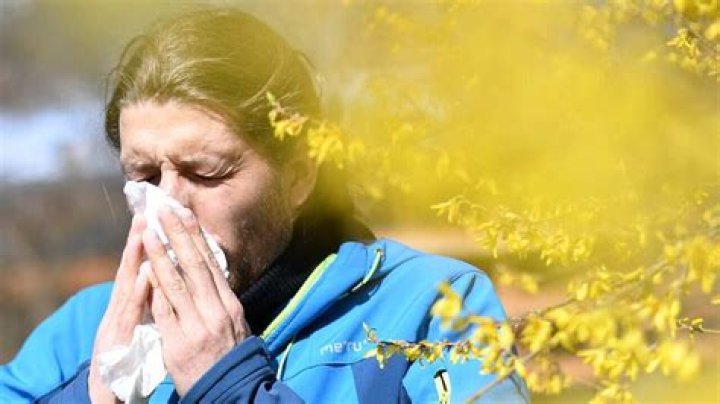 Hay fever sufferers could be making symptoms worse by wearing contact lenses, doctors warn