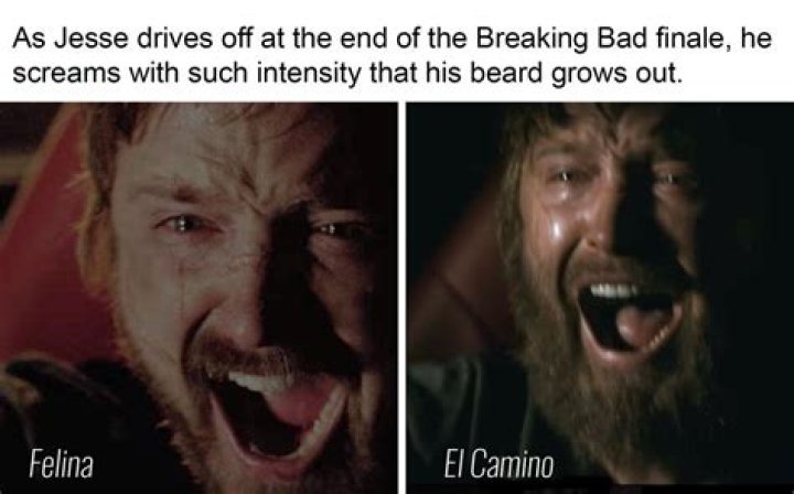 He Can’t Keep Getting Away With It: 10 Tragic Breaking Bad Moments That Fans Turned Into Memes