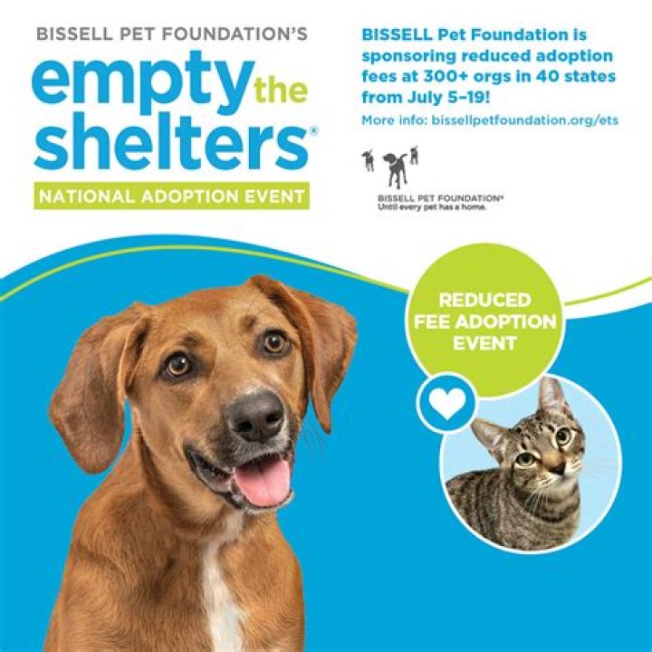 Help Humane Society of Scott County ‘Empty the Shelters’