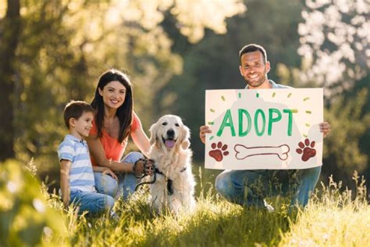 Help The Adopted Closet help families with high adoption costs this weekend at Bettendorf Hy-Vee