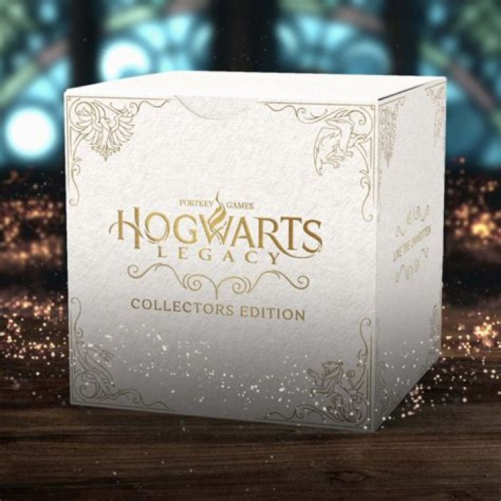 Hogwarts Legacy Collector's Edition: What does it include?