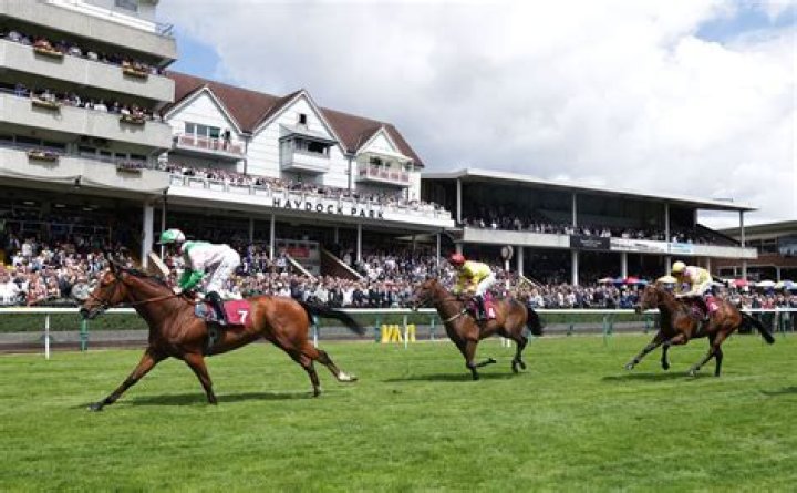 Horse racing tips: Bash the bookies with these three longshots at Ascot and Haydock on Saturday