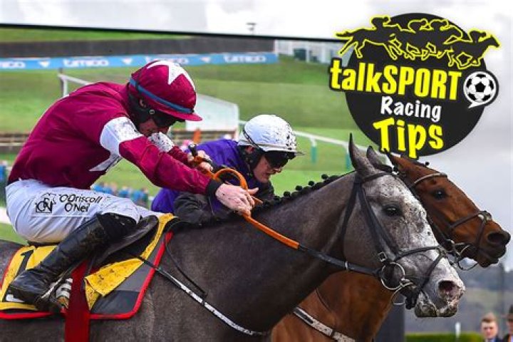 Horse racing tips: Bash the bookies with these value picks at Catterick on Thursday