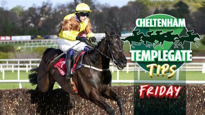 Horse racing tips: Templegate's NAP created a smart impression on debut for champion trainer Paul Nicholls