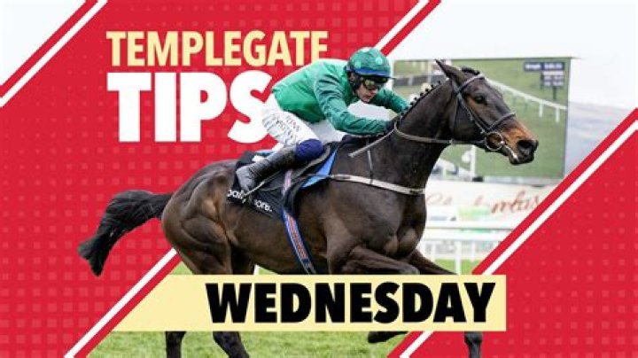 Horse racing tips: Templegate heads up to Kelso for strong fancy on Monday plus best bets at Plumpton and Southwell