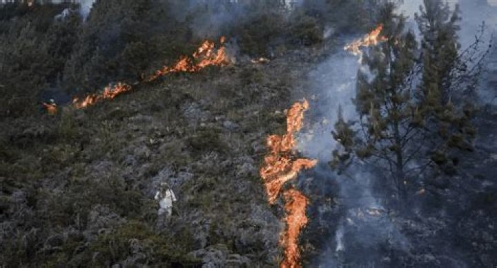 How climate change contributes to wildfires like Chile’s