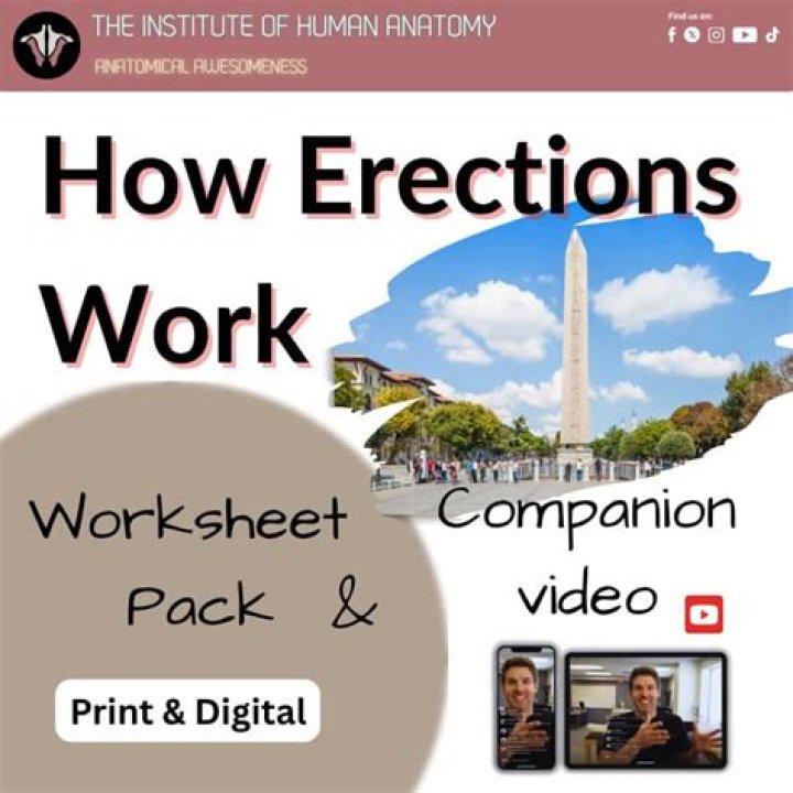 How Erections Work - AskMen