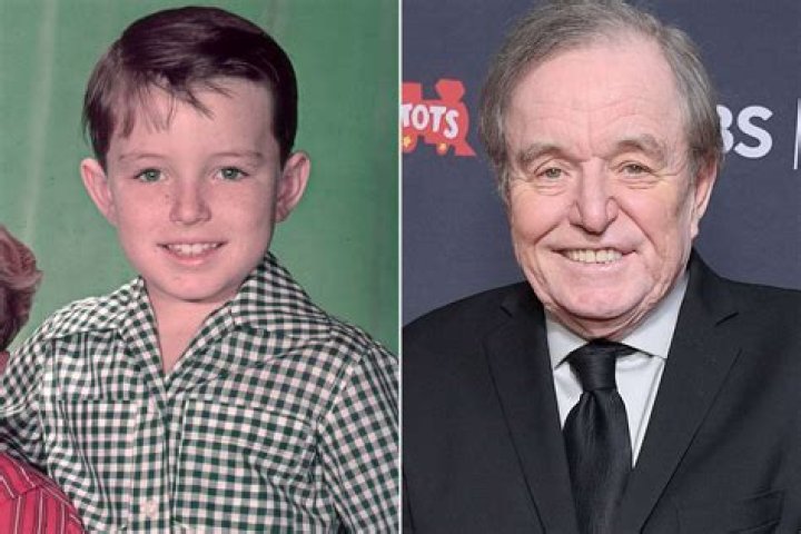 How is Jerry Mathers doing? Meet Teresa Modnick, the actress who played Leave it to Beaver, and her kids.
