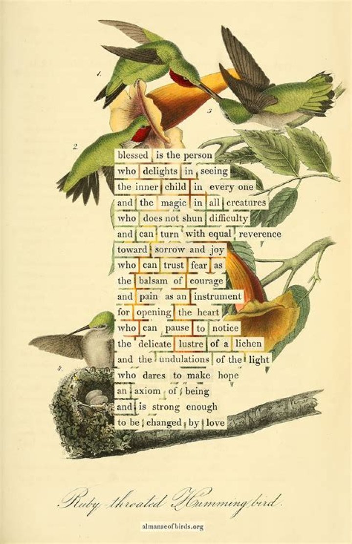 How Naomi Shihab Nye's Poem 'Valentine For Ernest Mann' Changed My Creative Life Completely
