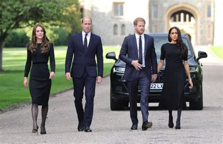 How Princes William and Harry Carry out Princess Diana's Legacy