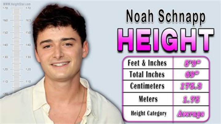 How Tall is Noah Schnapp? Biography, Wiki, Height, Net Worth