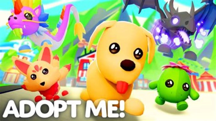 How to adopt a non‐sporting breed