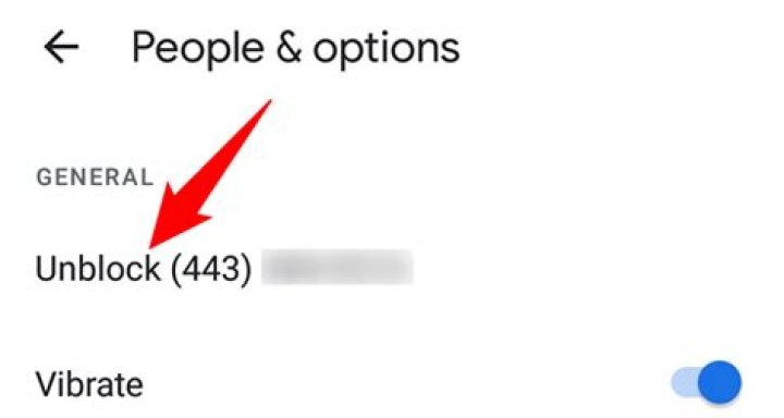 How to Block a Number on Google Voice